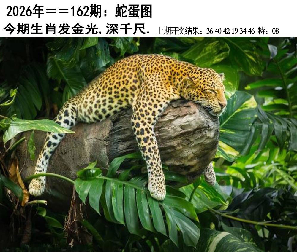 162期另版蛇蛋图[图]